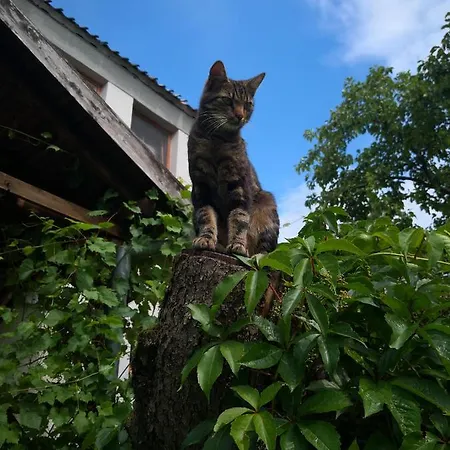 Na Mazurach Apartman *