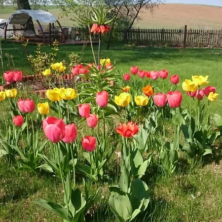 Na Mazurach * Sołtmany