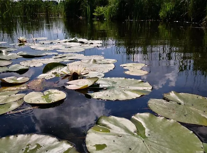 Na Mazurach * Soltmany