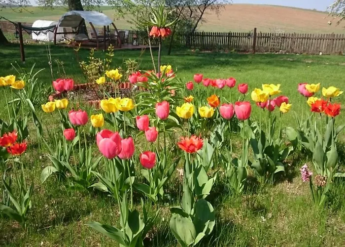 Na Mazurach * Soltmany